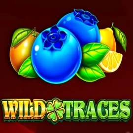 Wild Traces by Amusnet Interactive, showcased at wins-spirit.ca – game logo